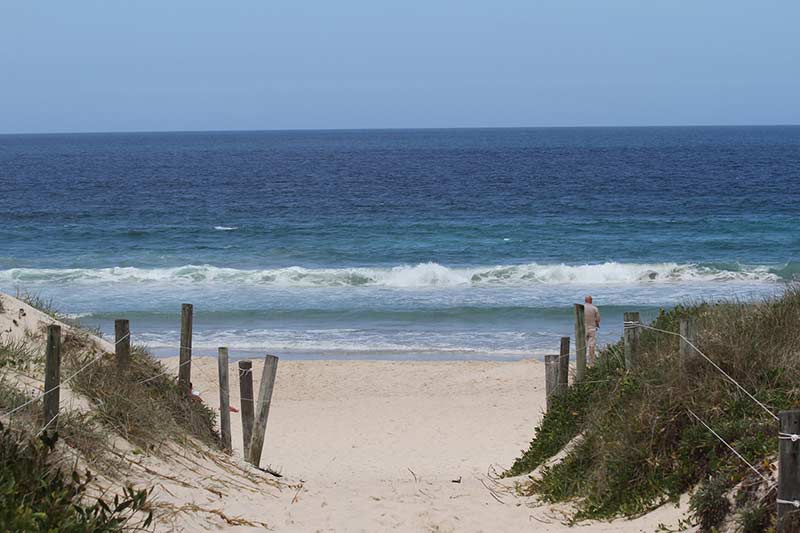 Exploring Paradise: The Best Beaches in NSW